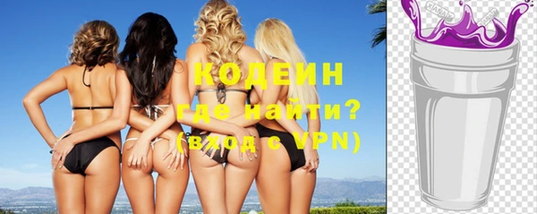 индика Медвежьегорск