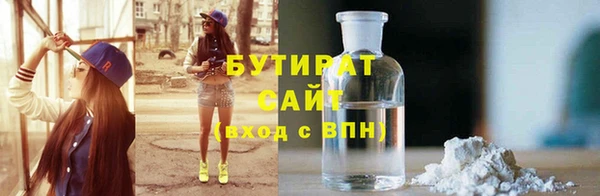 индика Медвежьегорск