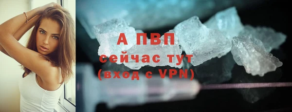 индика Медвежьегорск