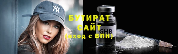 индика Медвежьегорск
