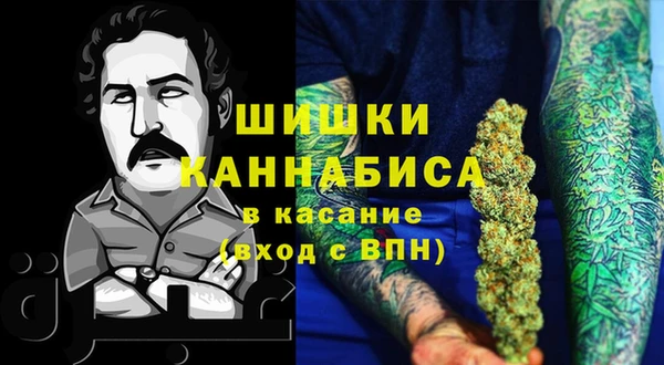 индика Медвежьегорск