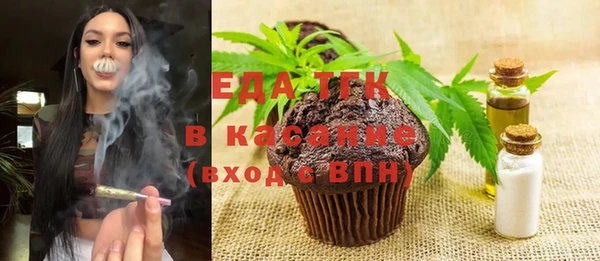 индика Медвежьегорск