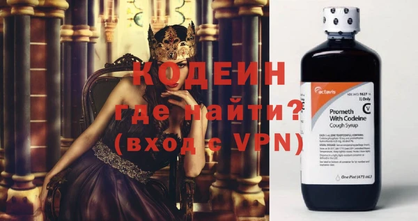 индика Медвежьегорск