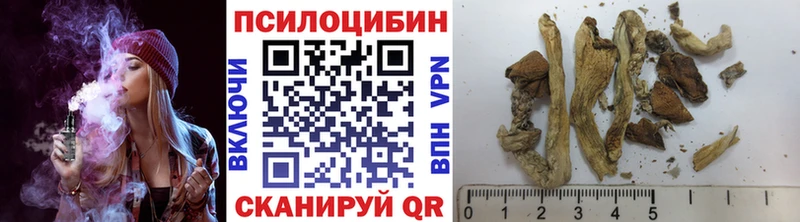 Галлюциногенные грибы Psilocybine cubensis  Мичуринск 